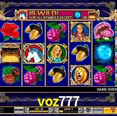 voz777 Rio de Janeiro - Professional Dealers